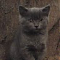 Βαβελόψαρο