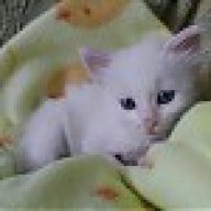 Ναταλία Λόκου