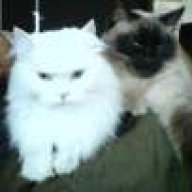 ΝΙΝΑ ΝΕΦΕΛΗ