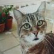 Ολγα Κουκοράβα