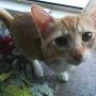 ΜΑΡΜΕΛΑΔΑΣ