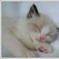 Μπουμπού (EΦΗ)