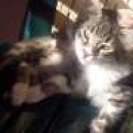 χρηστος μποτσης