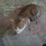 Δανάηχατζη