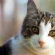 αχλαμπουχλα