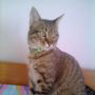 simba(Δήμητρα)