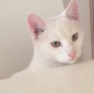 κατερίνακαρα