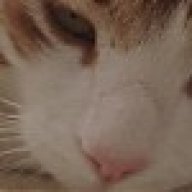 Ειρήνη Θεοδωρακοπούλου