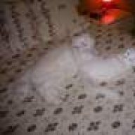 κατανιδου ιωαννα