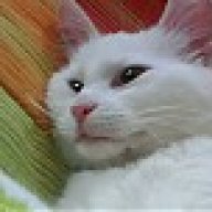 ιωάννα-μπιάνκα