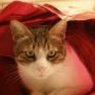 Βαγγέλης Μούκας