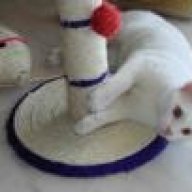 κουραμπιες