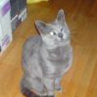 ΗΛΙΑΣ ΓΡΑΤΣΙΑΣ