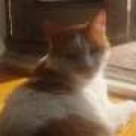 θεοδ γερασιμος