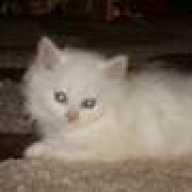 Νικη-Γιαννης