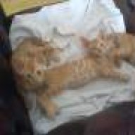 ΕΥΘΥΜΟΥΛΗΣ