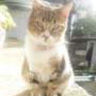 Σπυριδουλαλουνα