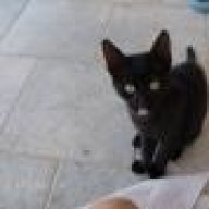 ζουλού ζαζού