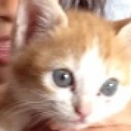 Μπουρμπουλιθρα