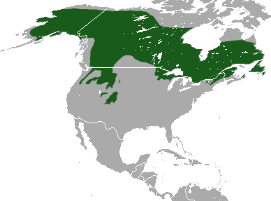 Canada_Lynx_area.png
