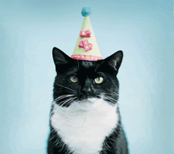 birthday_cat.gif
