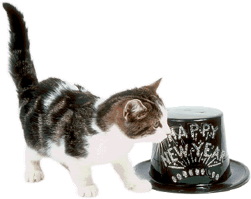 newyears1-cat1.gif