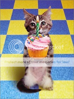 birthday-cat.jpg