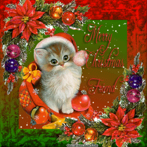 cat-chirstmas-hatRS-1.gif