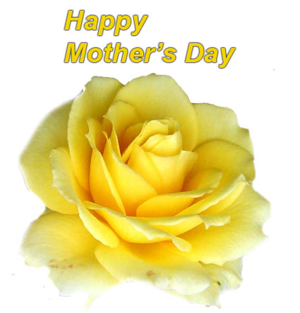 mothers-day-flower.jpg