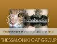 thessalonikicatgroup2118x92-1.jpg