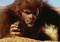 habilis_scavenger.jpg
