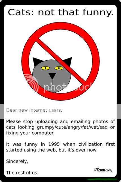 2006-12-11-cats-not-that-fu.jpg