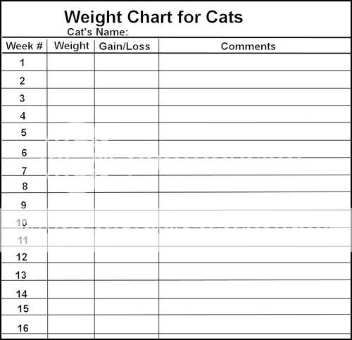 WeightChart1007x973.jpg