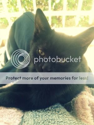 2_zpsc169d335.jpg~original