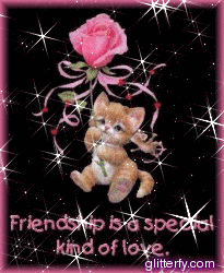 kittyfriend.gif