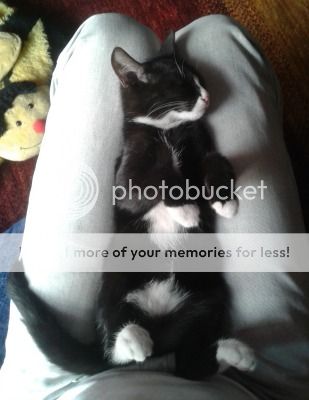 4_zps9ff8f95a.jpg~original