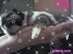 glitterfy134405342D30.gif