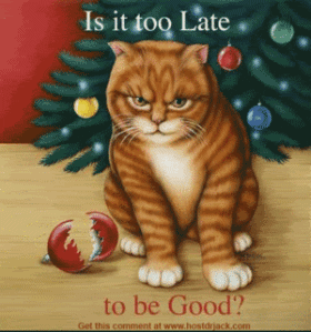 catchristmas-1-1.gif