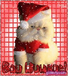 bah_humbug_cat.gif
