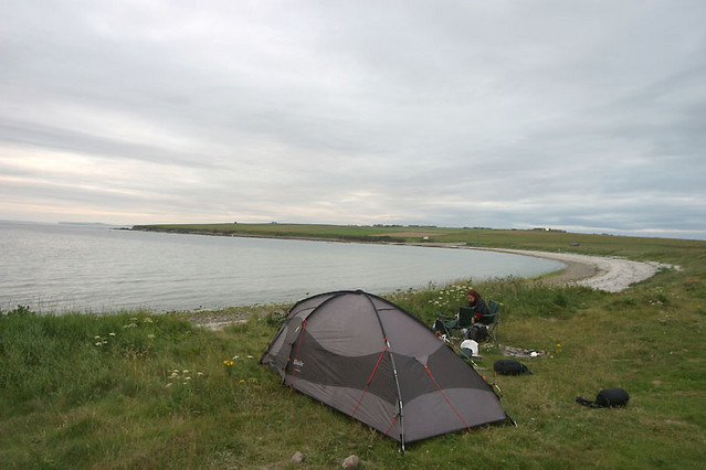 free-camping-newark-bay.jpg