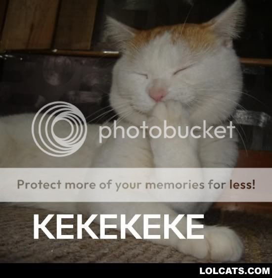 LOLCATZ10.jpg