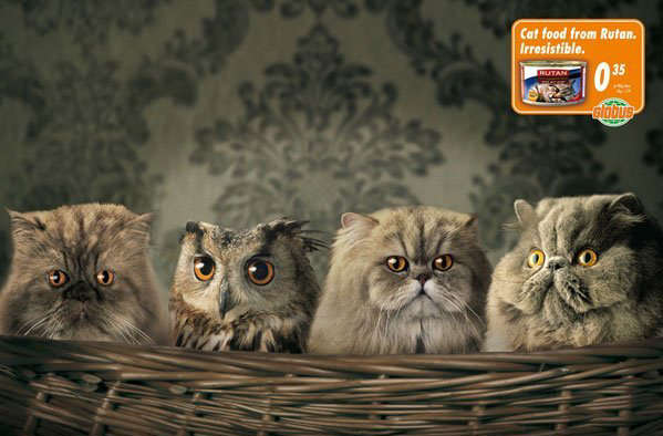 Rutan-cat-food-advertisement.jpg