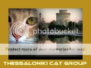 thessalonikicatgroup2-1-1.jpg
