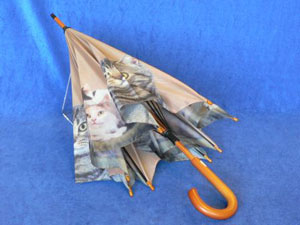 cat-umbrella.jpg